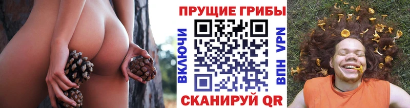 Купить закладки  Корсаков  Галлюциногенные грибы MAGIC MUSHROOMS 